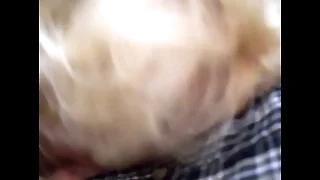mature bj from a fade blonde milf
